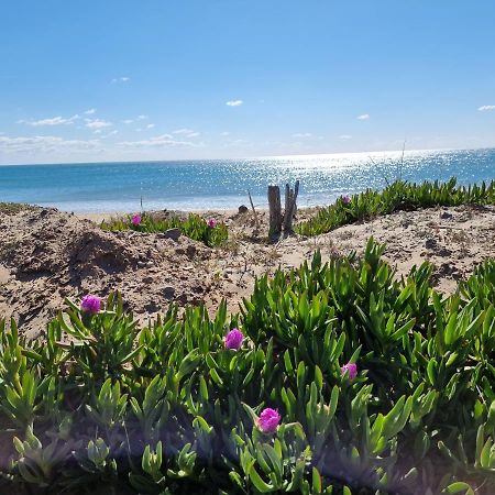 207 Cap D'Agde Naturiste Grand T2 De Standing Avec Garage Zewnętrze zdjęcie
